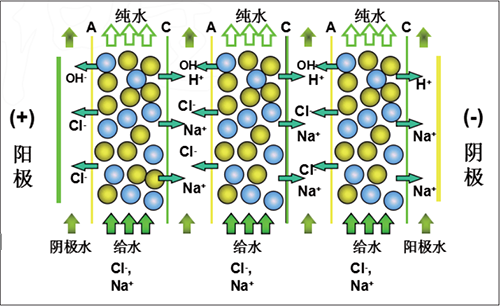 EDI設備運行原理